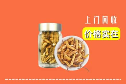 收购资讯:柳州市鱼峰回收散虫草